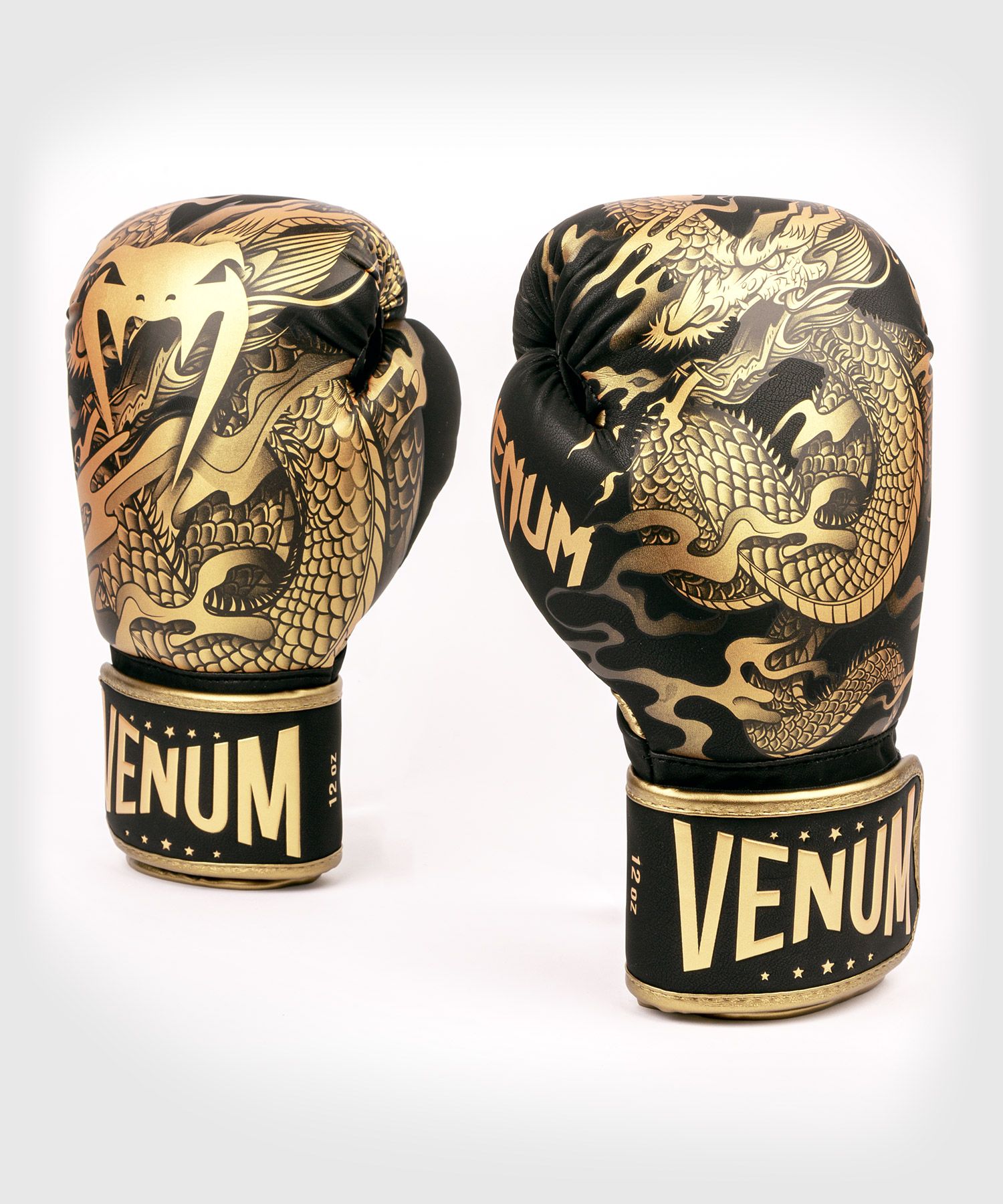 Boxing Gloves for Bag and Sparring Dragon 