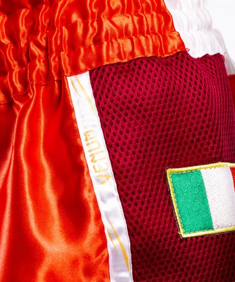 Venum MT Flags Muay Thai Shorts - Italian Flag