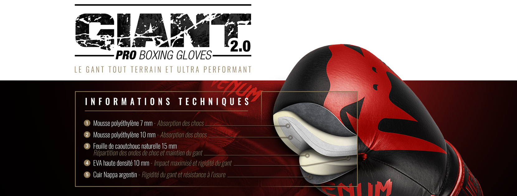 Gants de boxe professionnels Giant 2.0